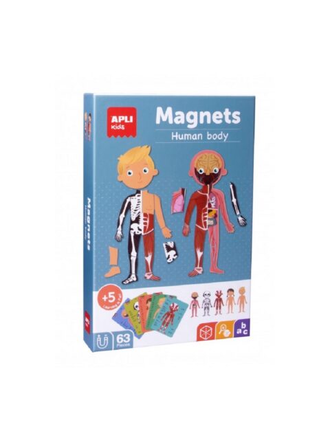 Društvena igra Apli magnets ljudsko tijelo 18531
